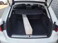 Audi A4 A4 Avant 2.0 TDI 190 CV quattro Business Sport Wit - thumbnail 16