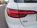 Audi A4 A4 Avant 2.0 TDI 190 CV quattro Business Sport Wit - thumbnail 18