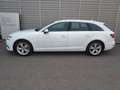 Audi A4 A4 Avant 2.0 TDI 190 CV quattro Business Sport Wit - thumbnail 3