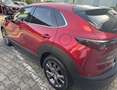 Mazda CX-30 2.0L e-SKYACTIV G 122ps 6AT FWD Homura Rot - thumbnail 4