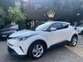 Toyota C-HR C-HR 1.8h Business 2wd e-cvt Bianco - thumbnail 10