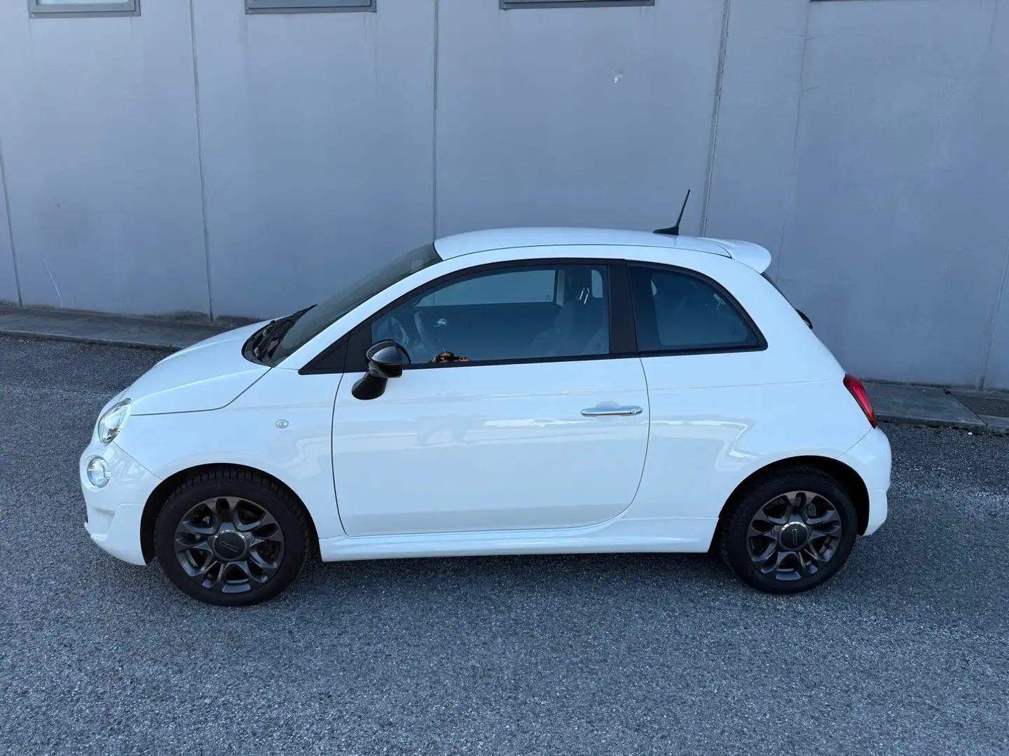 Fiat 500 1.0 hybrid 70cv Bianco - 2