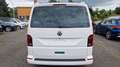 Volkswagen T6 California T6.1 California Edition 4Motion Virtual Standhei Weiß - thumbnail 6