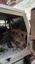 Nissan Patrol Wagon Turbo D. 6 cil. - thumbnail 5