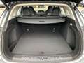 BAIC Beijing X55 II 1.5-T 7-DCT Luxury*All-Inclusive Gris - thumbnail 12