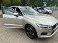 Volvo XC60 XC60 D4 AWD GeartronicMomentum - thumbnail 1