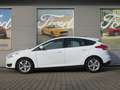 Ford Focus Trend 1.0l EcoBoost *8-fach bereift-LM*     -Euro6 Weiß - thumbnail 4