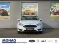 Ford Focus Trend 1.0l EcoBoost *8-fach bereift-LM*     -Euro6 Weiß - thumbnail 1