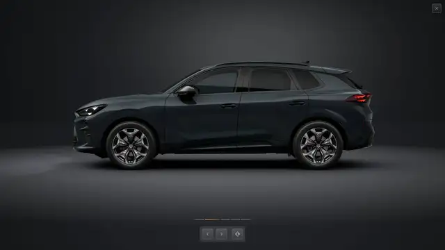 Cupra Terramar view 2