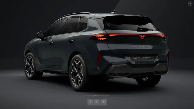 Cupra Terramar view 5