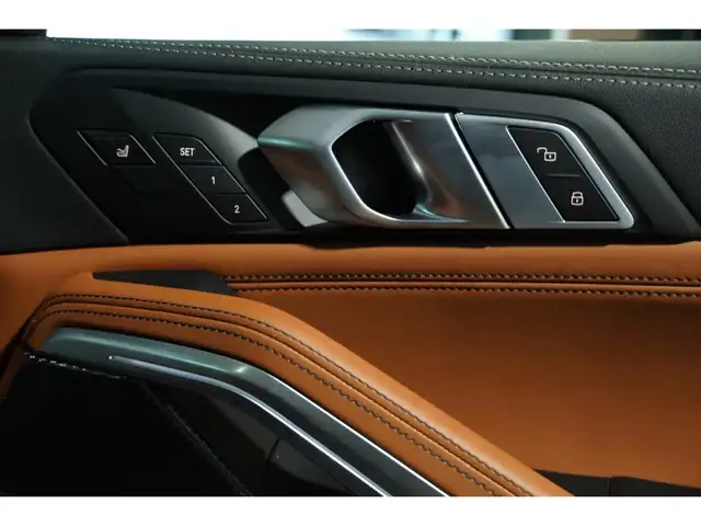 BMW X6 view 9
