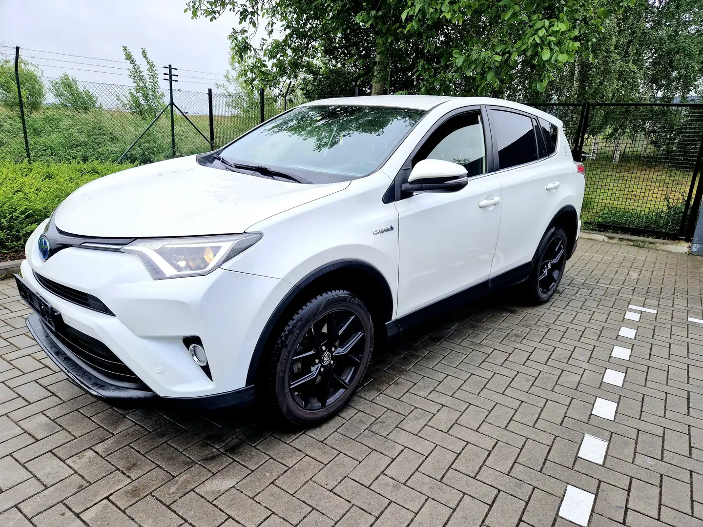 Toyota RAV 4 RAV4 2.5i. Hybrid Ltd.Edituon CVT Wit - 2
