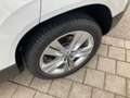 Skoda Karoq STYLE 2.0TDI 150PS 4x4 DSG LED.AHK.KAMERA.NAVI.SHZ Weiß - thumbnail 7