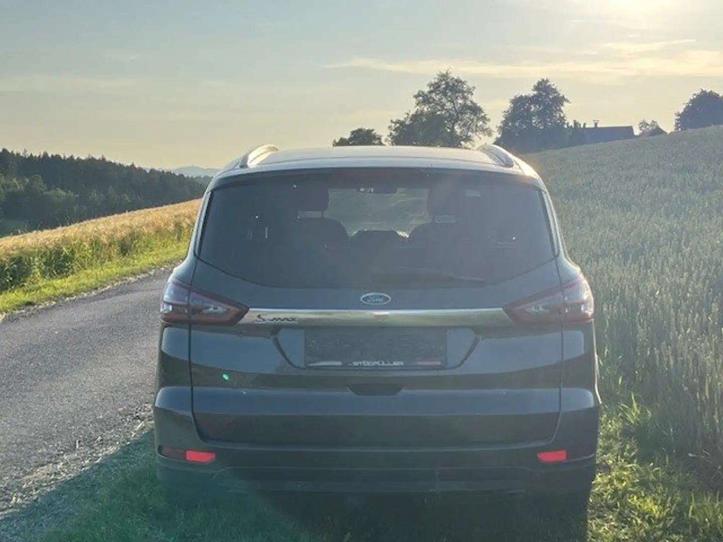 Ford S-Max 2,0 TDCI Titanium Start/Stopp Grau - 2