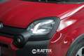 Fiat Panda Pandina 1.0 Firefly Hybrid 70CV Cross Rosso - thumbnail 3
