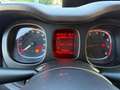 Fiat Panda Panda 1.2 Easy - thumbnail 3