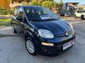 Fiat Panda Panda 1.2 Easy - thumbnail 1