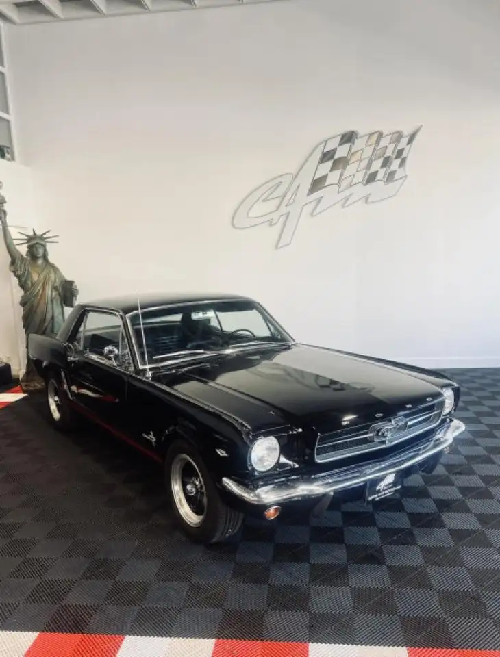 Ford Mustang V8 4.7L 289, foto 1