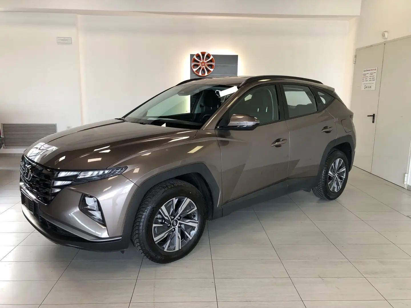 Hyundai TUCSON 1.6 t-gdi 48V Xline Smart Sense+ Advanced 2wd imt Brun - 1
