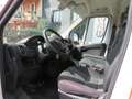 Fiat Ducato 2.3 MJT  130CV L2 H2 "FURGONATO" Rosso - thumbnail 5