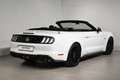 Ford Mustang 5,0 Ti-VCT V8 GT Cabrio Aut. ON42323 JF Tageszu... Weiß - thumbnail 28