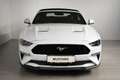 Ford Mustang 5,0 Ti-VCT V8 GT Cabrio Aut. ON42323 JF Tageszu... Weiß - thumbnail 2