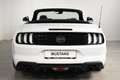 Ford Mustang 5,0 Ti-VCT V8 GT Cabrio Aut. ON42323 JF Tageszu... Weiß - thumbnail 27