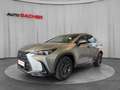 Lexus NX 450h+ Executive Line Plug-In Hybrid 292 PS Allrad Срібний - thumbnail 1