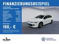 Volkswagen Golf VIII Variant 1.5 TSI Goal NAVI+LED+RFK Weiß - thumbnail 2