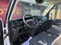 Iveco Daily IS35SC 2.3 D CAPTEUR/CRUISE/ATTACHE REM/CLIM AUTO Blanc - thumbnail 8