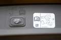 Ford Kuga 2,0 TDCi Vignale  Powershift Aut. AWD Schwarz - thumbnail 21