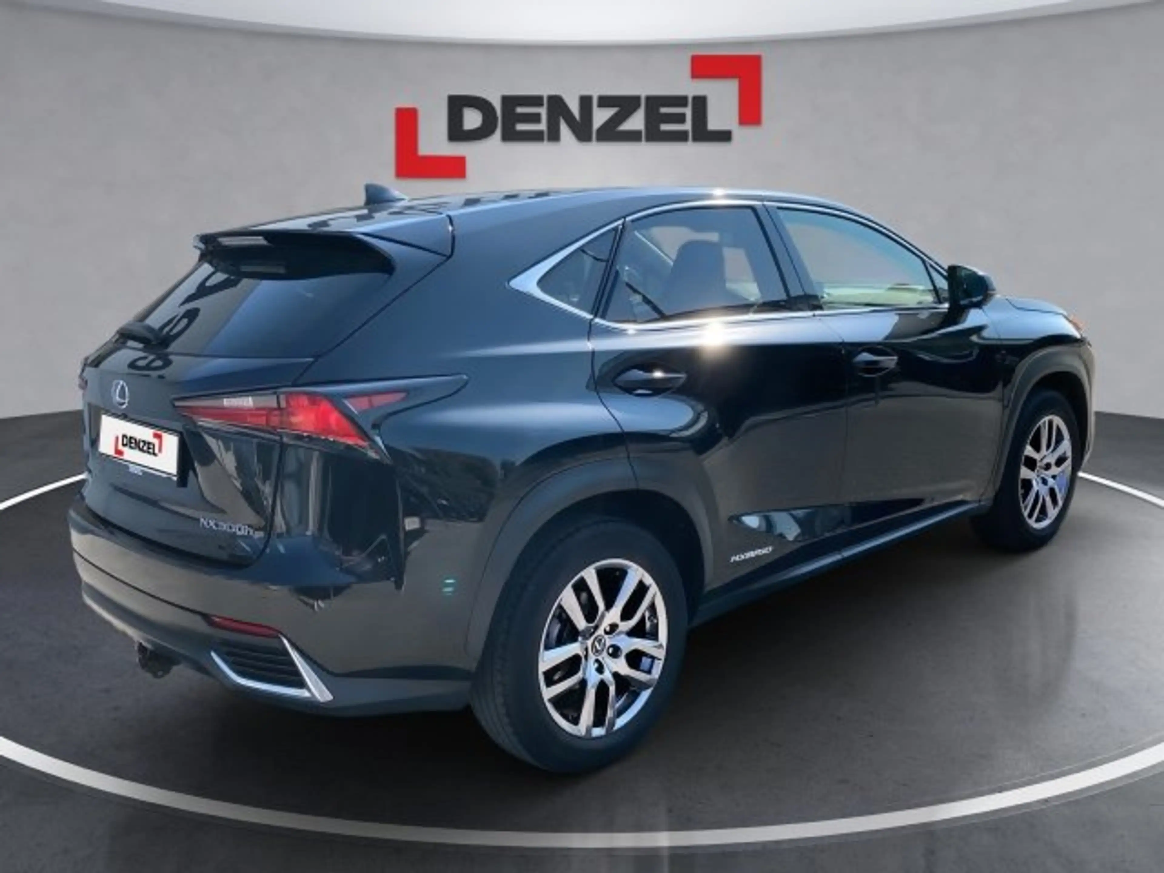 Lexus NX 300h Limited Hybrid Aut. — photo 10