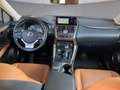 Lexus NX 300h Limited Hybrid Aut. Schwarz - thumbnail 15
