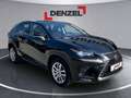 Lexus NX 300h Limited Hybrid Aut. Schwarz - thumbnail 12