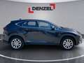 Lexus NX 300h Limited Hybrid Aut. Schwarz - thumbnail 11