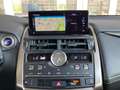 Lexus NX 300h Limited Hybrid Aut. Schwarz - thumbnail 7