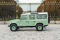 Land Rover Defender 110 TD4 - Grasmere Green, fully personnalized Grün - thumbnail 2