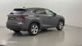 Lexus NX 300h 300h 4WD Executive - thumbnail 5