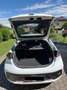 Hyundai IONIQ Ioniq Elektro 38kWh Level 5 Aut. Level 5 Weiß - thumbnail 10