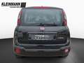 Fiat Panda Cross City Plus 1.0 GSE Hybrid (70PS) Schwarz - thumbnail 7
