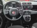 Fiat Panda Cross City Plus 1.0 GSE Hybrid (70PS) Schwarz - thumbnail 8