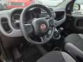 Fiat Panda Cross City Plus 1.0 GSE Hybrid (70PS) Schwarz - thumbnail 9