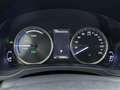 Lexus RC 300h Luxury Line Grau - thumbnail 6