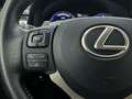 Lexus RC 300h Luxury Line Grau - thumbnail 22