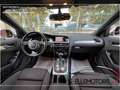 Audi A4 allroad 2.0 tdi Ambiente 177cv s-tronic UNICO Gris - thumbnail 7
