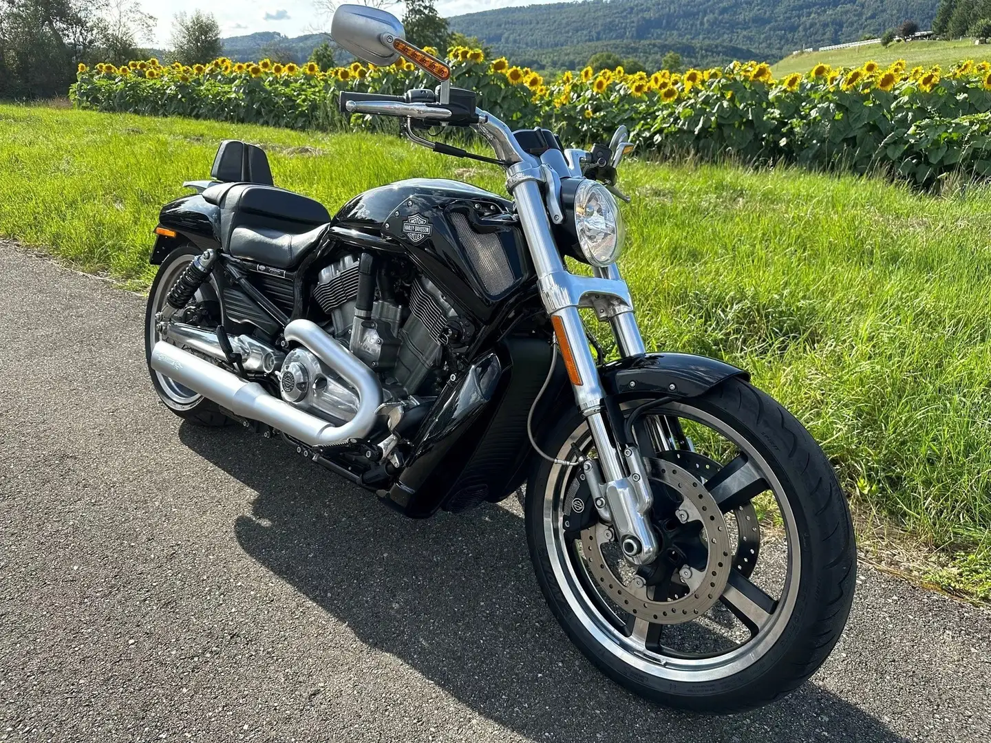 Harley-Davidson VRSC V-Rod V-Rod Muscle Černá - 1
