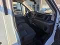 Ford Transit 2.0 DIESEL/HYBRID, MANUALE Weiß - thumbnail 16