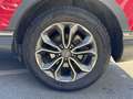 Honda CR-V E-HEV EXCLUSIVE 2 WD Czerwony - thumbnail 11