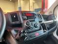 Citroen Jumper BlueHDi 88KW (120CV) Furgón 33L2H1 Blanco - thumbnail 14