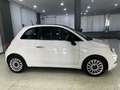 Fiat 500 1.0 Hybrid Dolcevita 52kW Wit - thumbnail 4